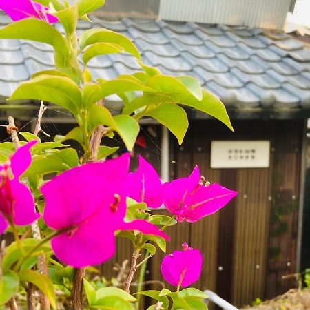 Guesthouse Nichinan - Vacation Stay 82905V Kültér fotó