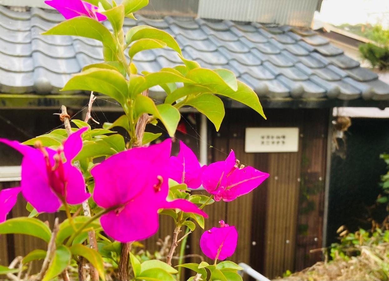 Guesthouse Nichinan - Vacation Stay 82905V Kültér fotó